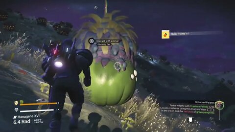 NMS Weekend Event - 9/24/22