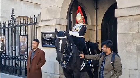 Another one pulling the reins right out towards him self #horseguardsparade