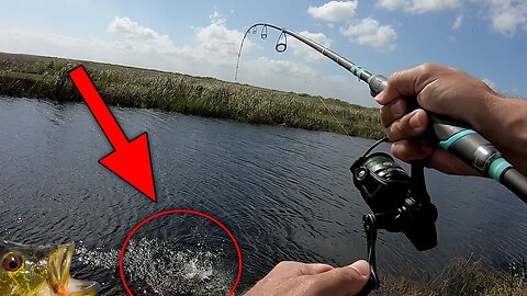 This electric technology catches me more fish! Catch and Cook