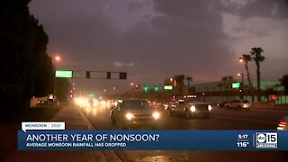 What to expect during this year's monsoon