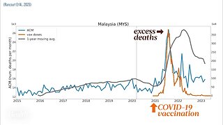 Post-2020 Excess Deaths Coincide With Vaccine Rollout, Not Start Of "Pandemic"