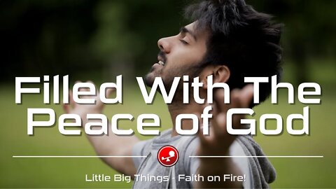FILLED WITH THE PEACE OF GOD - Stop Feeling Burnout - Daily Devotional - Little Big Things