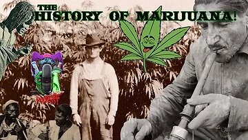 THE HISTORY OF MARIJUANA!