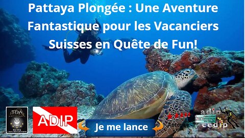 Une Aventure Fantastique pour les Vacanciers Suisses en Quête de Fun!