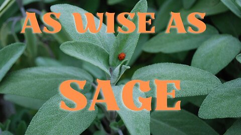 As Wise as Sage