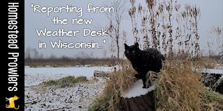 The Cat Weather Report for Wisconsin ~ Saturday, November 27, 2021