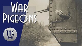 Nine Ounce Heroes: The Surprising Contributions of War Pigeons