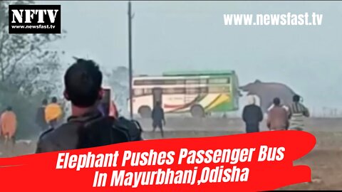 Elephant Pushes Passenger Bus In Mayurbhanj,Odisha