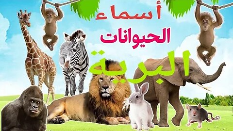 Reading and writing the Arabic Alphabet تعلم أسماء الحيوانات. تعلم التهجي بالعربية