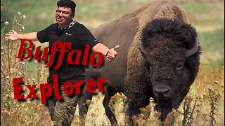 WE FOUND BUFFALO!!! (RARE FINDING)