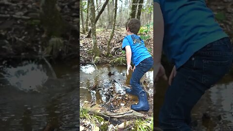 A day in the woods #shorts #outdoors #family