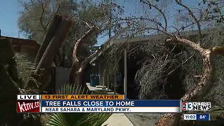 Tree falls, blocks driveway near Sahara and Maryland Parkway