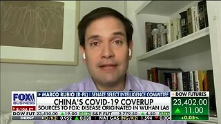 Sen Rubio Joins Fox Business to Discuss Democrats' Efforts to Hold Small Business Funding Hostage