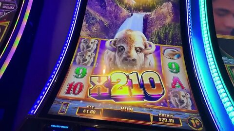 My First Ever Cash out from this Slot ✅BUFFALO CHIEF PLATINUM Las Vegas