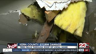 Tree falls through roof of southwest Bakersfield home