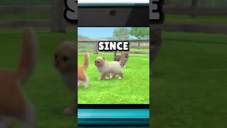 Nintendogs are COMING home! #nintendogs #nintendo #switch #gamer #nostalgia