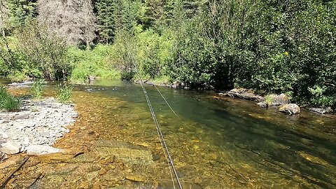 This stream wasn't easy to fish but it was definitely worth the effort!