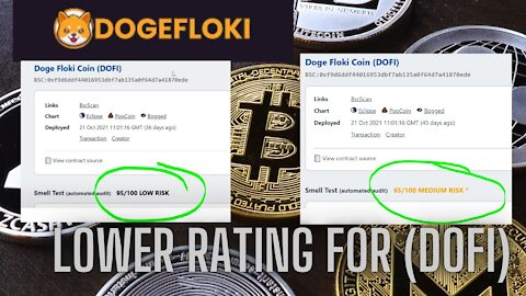lower rating for Doge Floki Coin (DOFI)