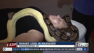 Snakes used for massages