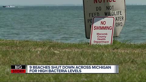 Beach closures in Michigan become 'new norm' thanks to high bacteria levels