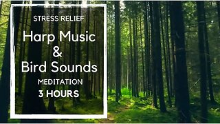 Stress-Relieving Meditation Music: 3 Hours of Soothing Harp and Bird Sounds 🎵