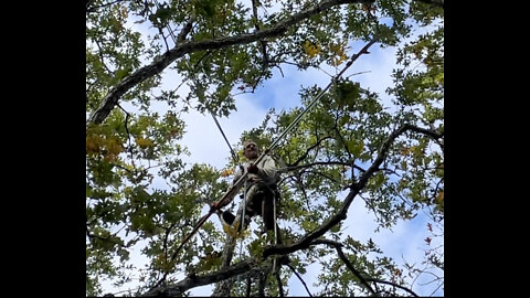 10/23/2021 Robbie Gallo of Gallo Tree Service