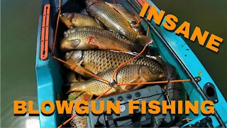 Insane Blowgun Carp Fishing