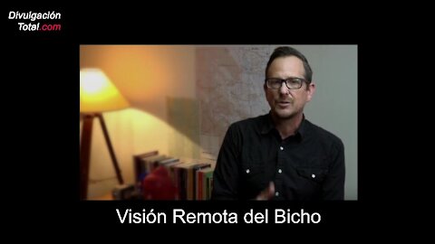 Visión Remota del Bicho