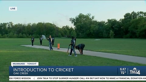 Playing Cricket with Cricket Milwaukee