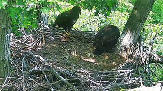 Hays Eagles H19 Casts Huge Pellet 5.18.23 14:00