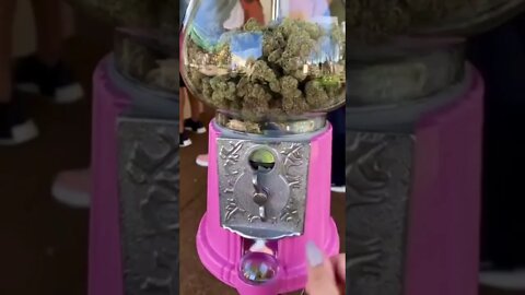 Gum ball dispenser used to dispense weed in California 😂##shorts #crazyvideo #california #weed