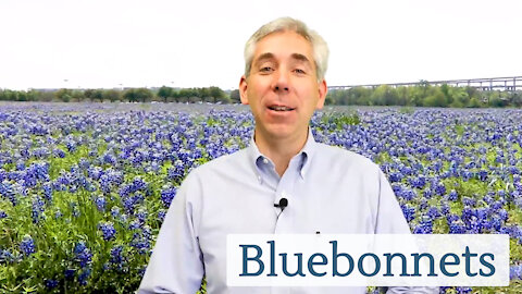 Discover Austin: Bluebonnets (Episode 8)