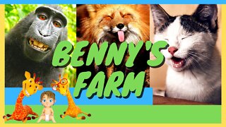 Benny Had a Little Farm - Gi Ralph and Benny