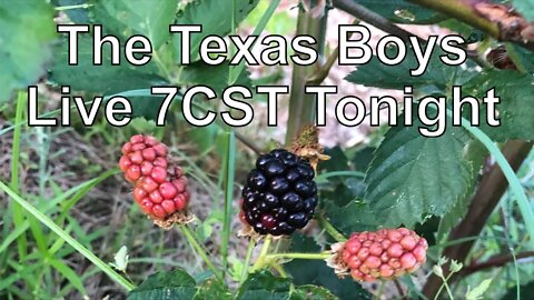 The Texas Boys Live @ 7PM CST