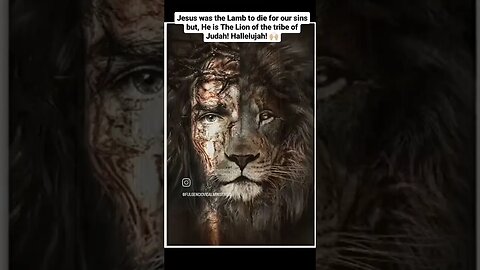 Jesus is a Mighty Warrior! The Lion of the tribe of Judah! Hail to King Jesus! Amen!