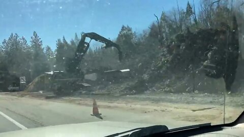 Stacks of trees, Grass Valley..