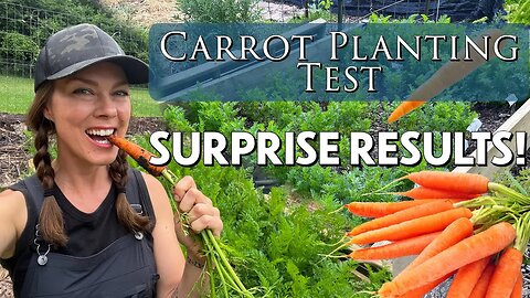 Tricks for Sowing Carrots- TEST RESULTS