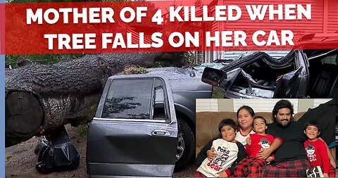 Deadly Houston, Texas storms: Mother of 4 killed when tree falls on her car