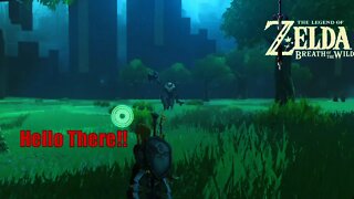 I DID IT!!!: The Legend of Zelda Breath of the Wild