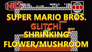Super Mario Bros. - Glitch - Mushroom/Flower Shrink - Retro Game Clipping