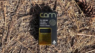 CAM Live Resin Disposable Review
