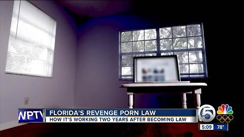 Florida's revenge porn law