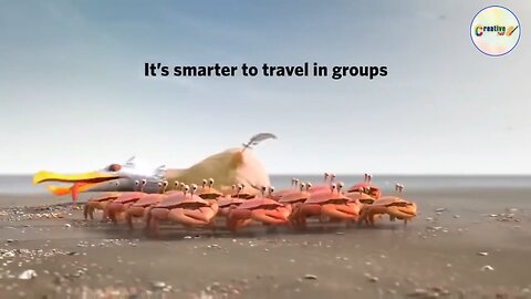 Unity in Action: Animated Ants Teach Powerful Lessons in Teamwork and Leadership!