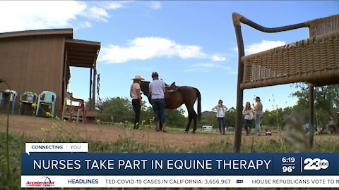 Healing with Horses: Nurses take part in equine therapy