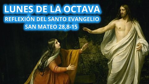 EVANGELIO DE HOY SÁBADO 10 DE ABRIL DE 2023, LUNES OCTAVA DE PASCUA SAN MATEO 28, 8-15