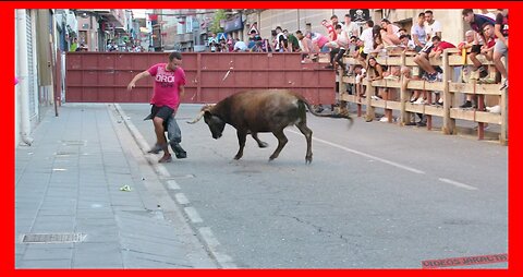 SAN ADRIAN ( NAVARRA ) TARDE VACAS CALLE ( LUNES 31 JULIO 2023 ) GANAD.ALFONSO BASARTE