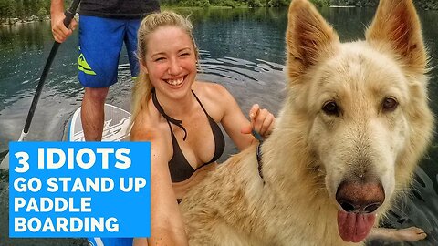 3 IDIOTS GO STAND UP PADDLE BOARDING