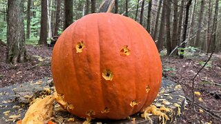 Carving some pumpkins for Halloween