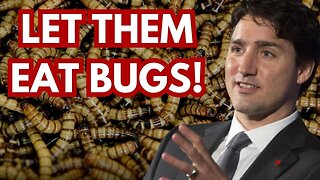 LET THEM EAT BUGS!!