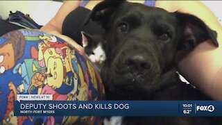 Deputy shoots and kills dog